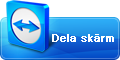 Ladda ned Teamviewer